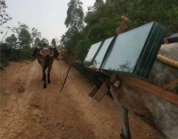 建湖县马帮运输工程队